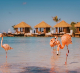 Почивка в Аруба 2025 – гарантирано заминаване