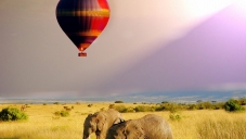 Сафари в Танзания с почивка в Занзибар от My Way Travel