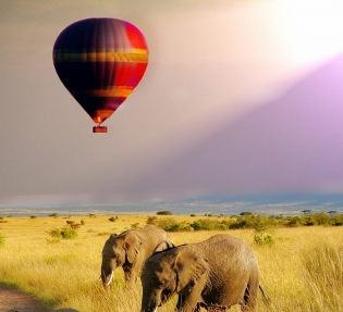 Сафари в Танзания с почивка в Занзибар от My Way Travel