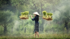 Екскурзия Виетнам и Камбоджа, My Way Travel, Почивка в На Чанг